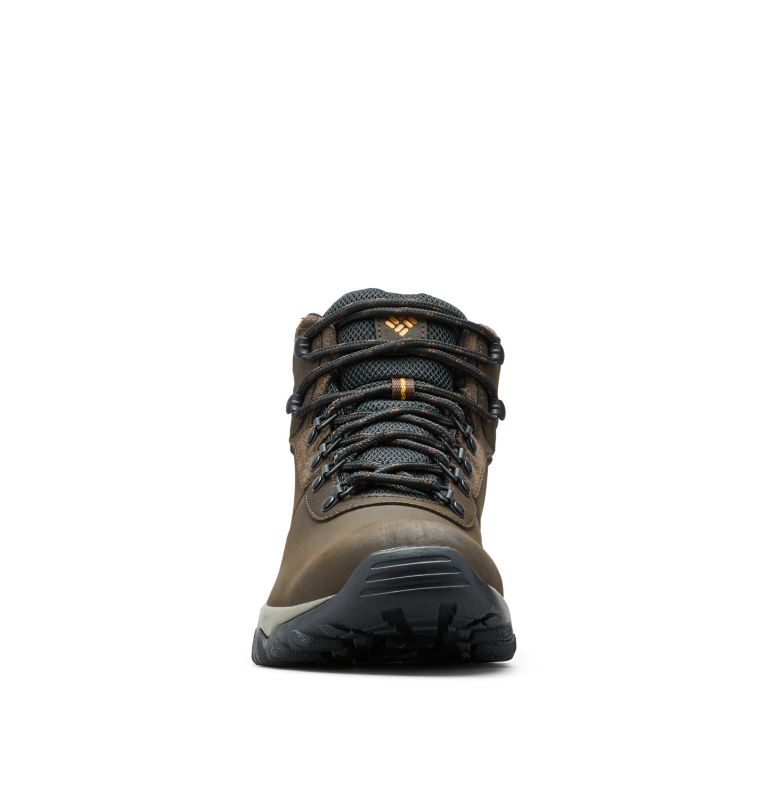 Botas Montaña Columbia Newton Ridge™ Plus II Impermeables Hombre Marrom Oscuro Grises | HQT176YQ